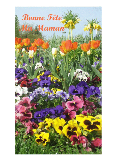 Carte Bonne Fete Ma Maman Et Champs De Fleurs : Envoyer 